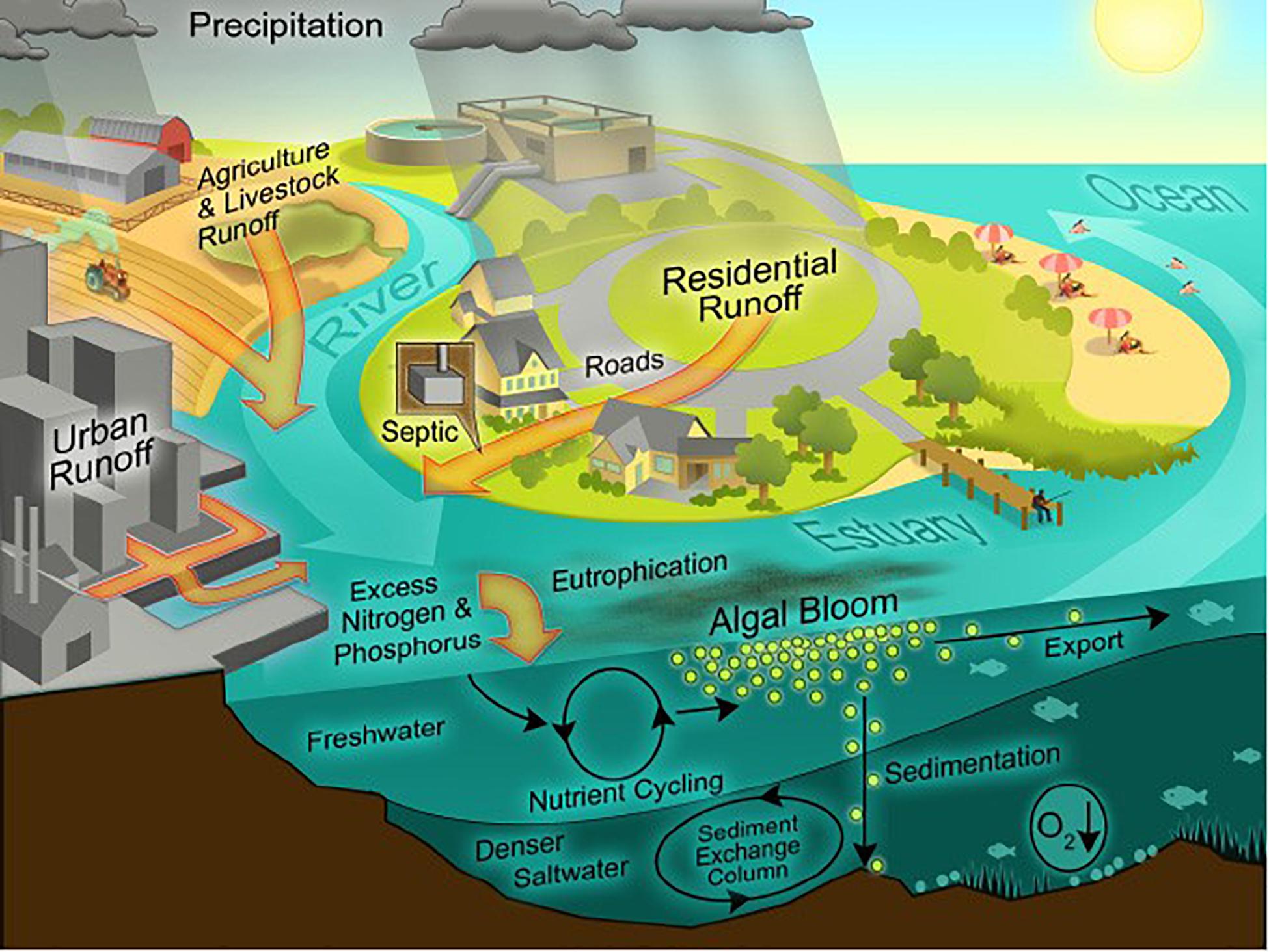 la-pollution-de-l-air-et-le-r-chauffement-climatique-mersea-plan-te